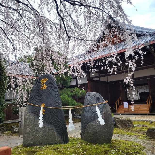 f:id:atoriatoriatori:20250407104451j:image