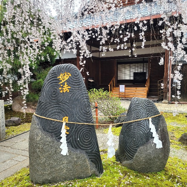 f:id:atoriatoriatori:20250407104501j:image