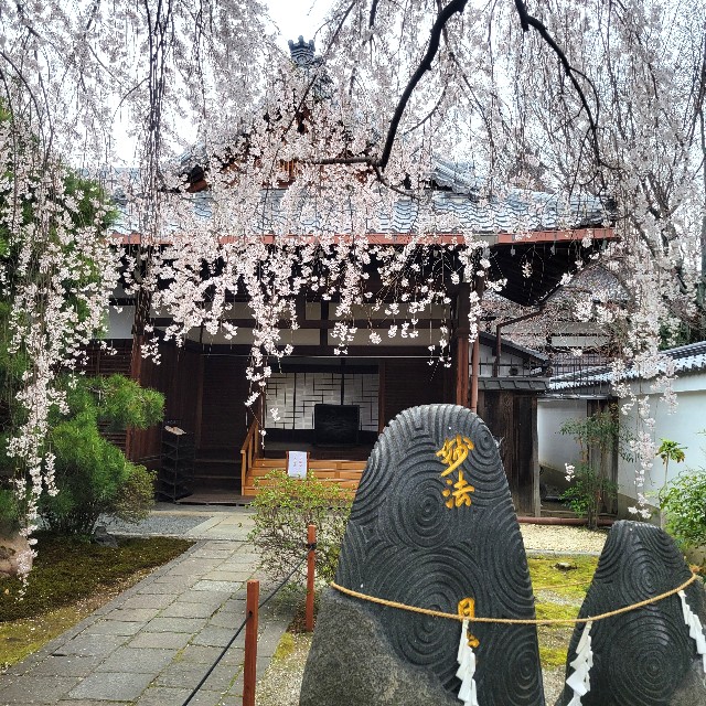 f:id:atoriatoriatori:20250407104511j:image