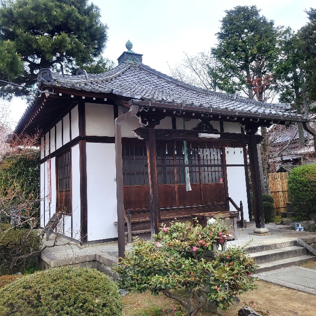 f:id:atoriatoriatori:20250407114120j:image
