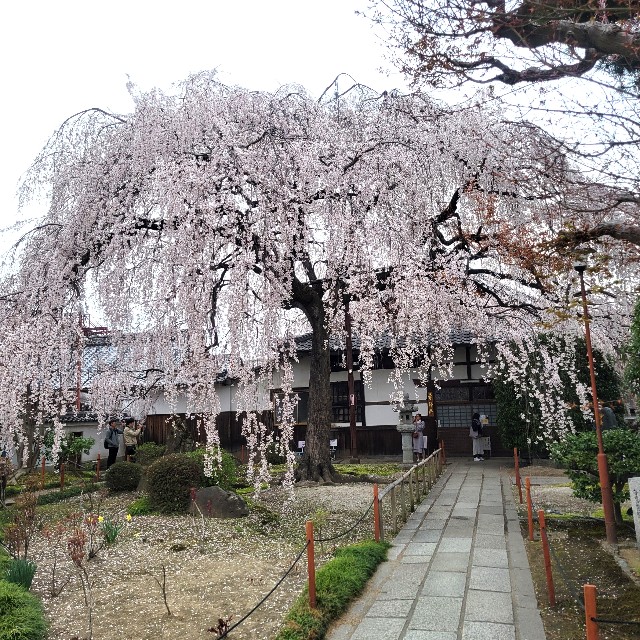 f:id:atoriatoriatori:20250407114151j:image