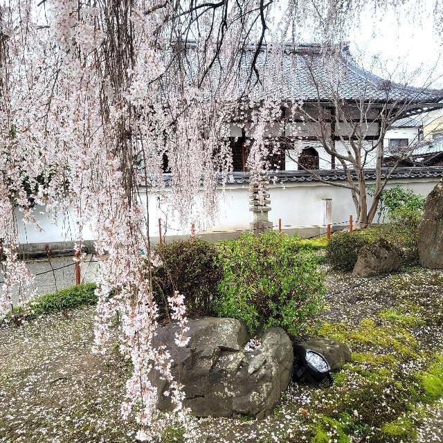 f:id:atoriatoriatori:20250407114804j:image