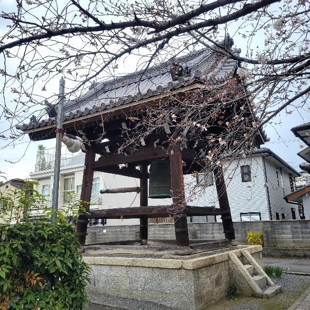f:id:atoriatoriatori:20250407122756j:image