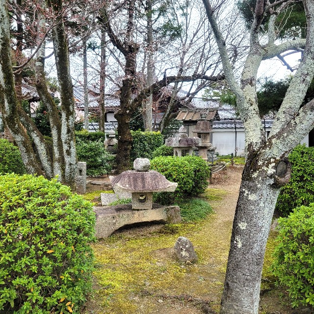 f:id:atoriatoriatori:20250407123104j:image
