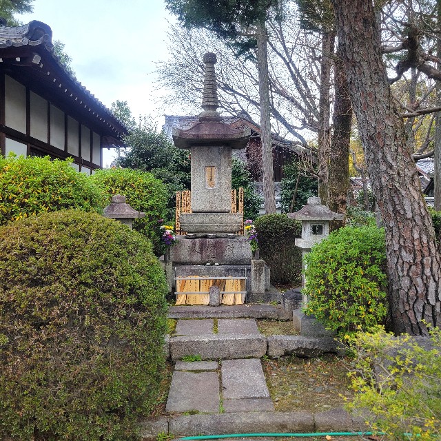 f:id:atoriatoriatori:20250407123113j:image