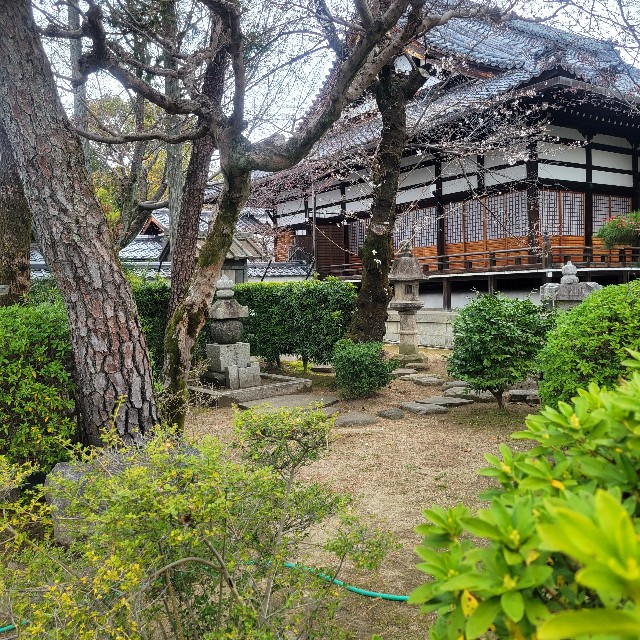 f:id:atoriatoriatori:20250407123444j:image