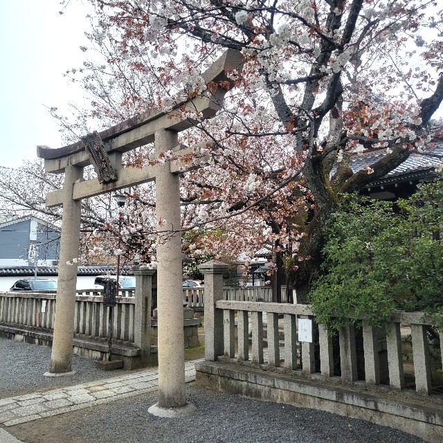 f:id:atoriatoriatori:20250407141234j:image
