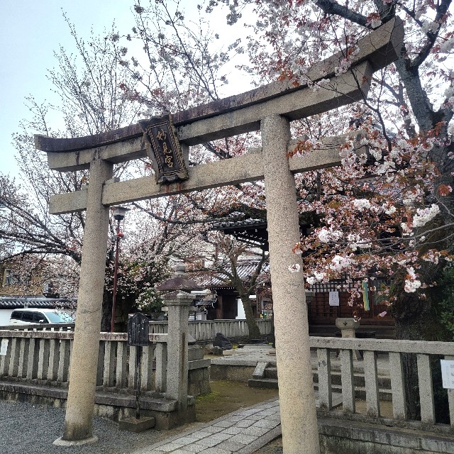 f:id:atoriatoriatori:20250407141244j:image