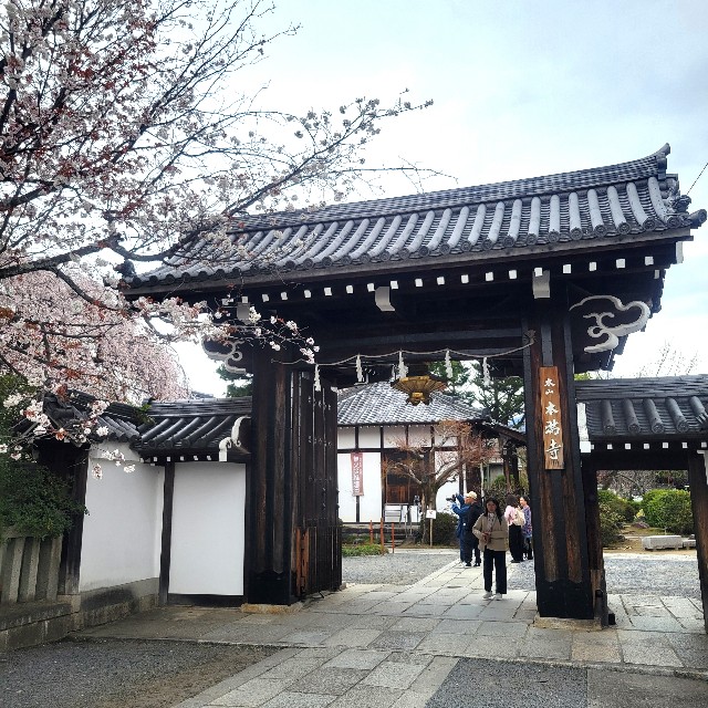 f:id:atoriatoriatori:20250407151437j:image