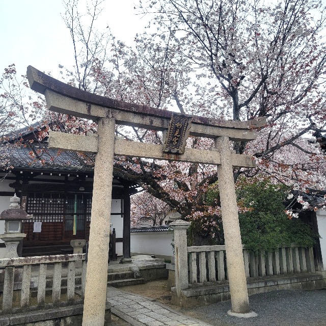 f:id:atoriatoriatori:20250407151525j:image