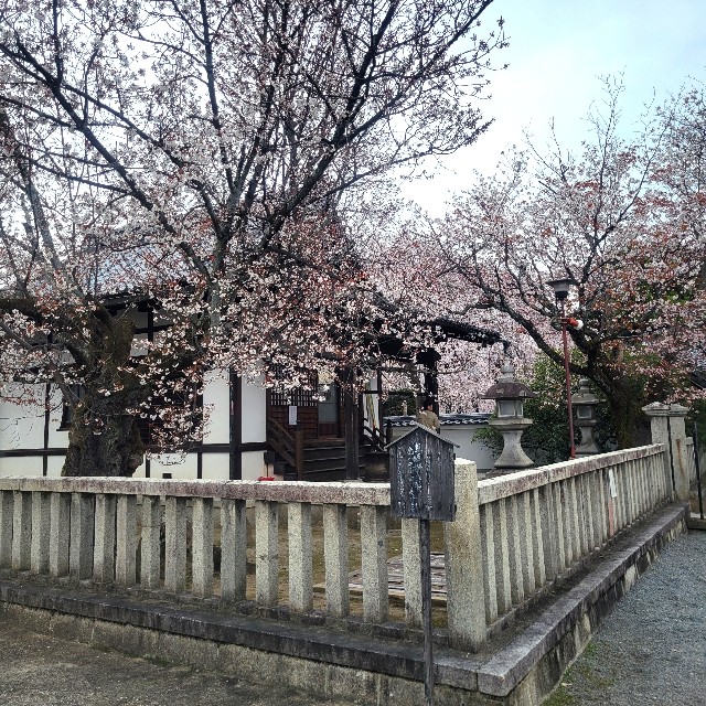 f:id:atoriatoriatori:20250407151550j:image