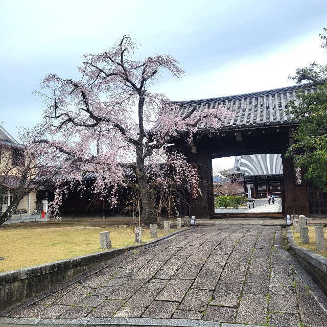 f:id:atoriatoriatori:20250407165354j:image