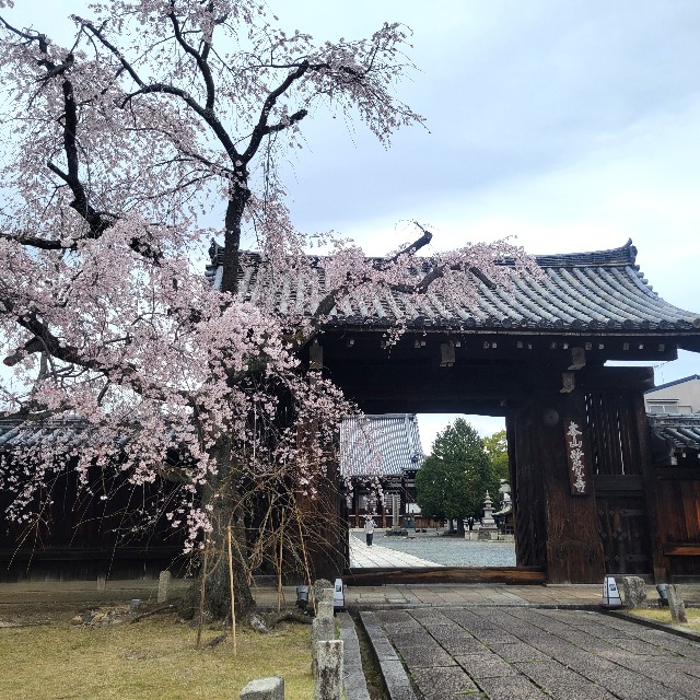 f:id:atoriatoriatori:20250407165404j:image