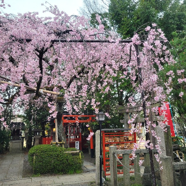 f:id:atoriatoriatori:20250407223451j:image
