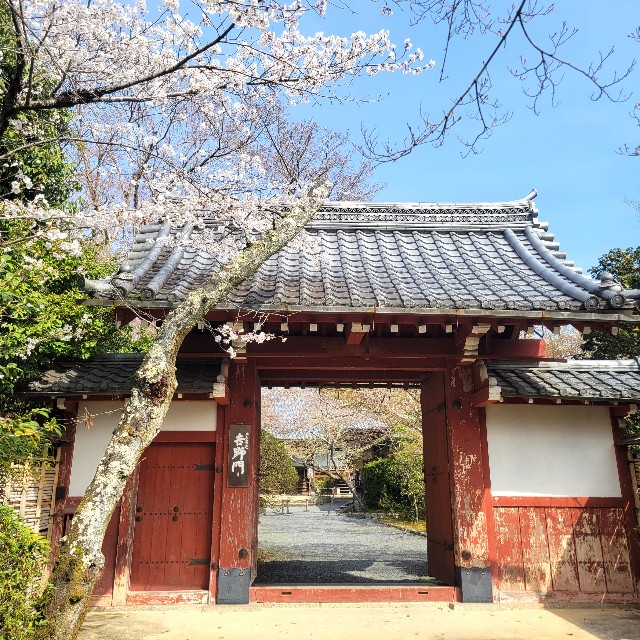f:id:atoriatoriatori:20250408180947j:image