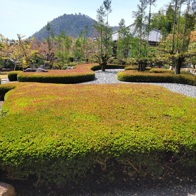 f:id:atoriatoriatori:20250408181027j:image