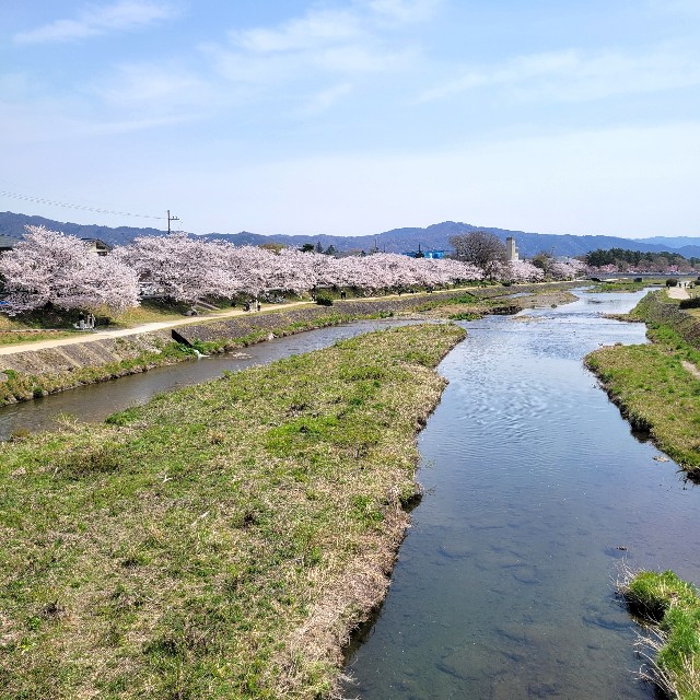 f:id:atoriatoriatori:20250408181341j:image