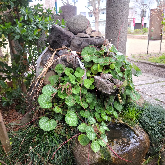 f:id:atoriatoriatori:20250408201414j:image