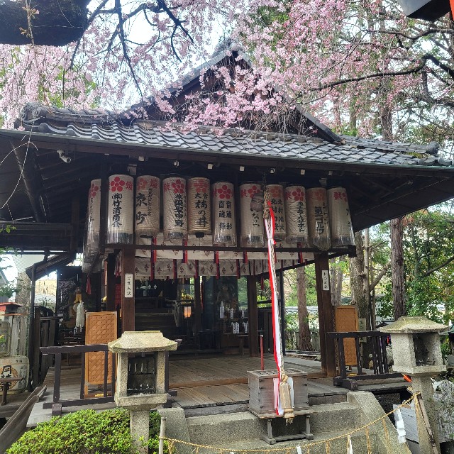 f:id:atoriatoriatori:20250408201528j:image