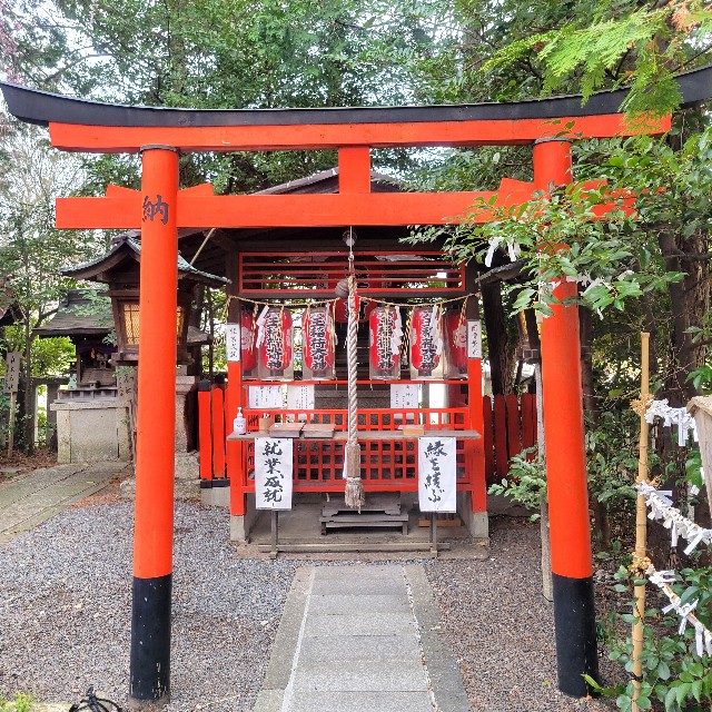 f:id:atoriatoriatori:20250408201719j:image
