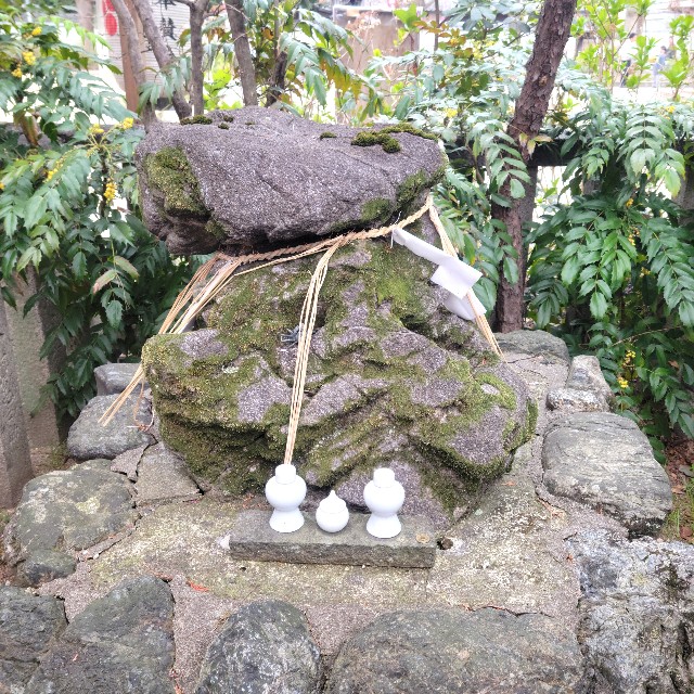 f:id:atoriatoriatori:20250408202333j:image