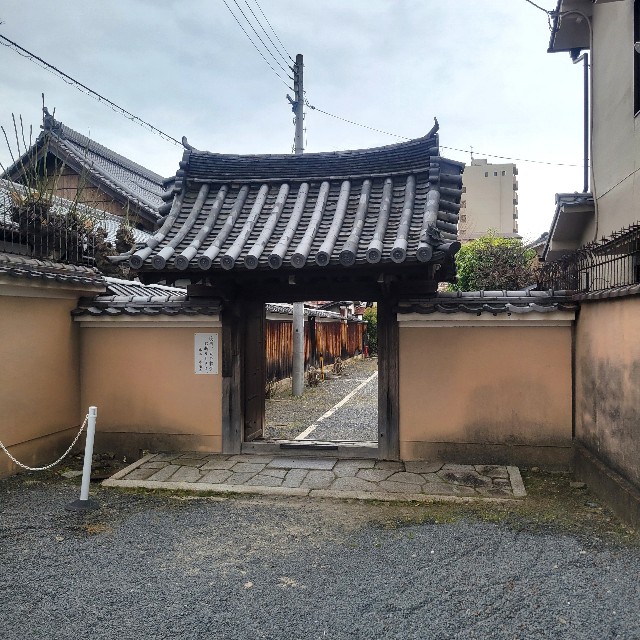 f:id:atoriatoriatori:20250408213200j:image