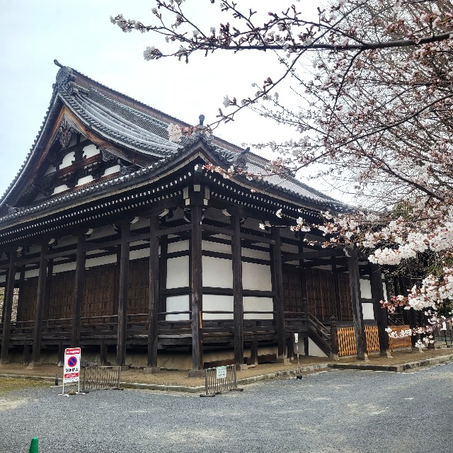 f:id:atoriatoriatori:20250408213225j:image
