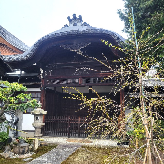f:id:atoriatoriatori:20250409073944j:image