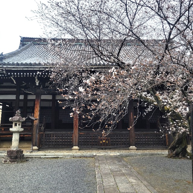 f:id:atoriatoriatori:20250409074849j:image
