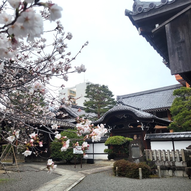 f:id:atoriatoriatori:20250409074916j:image