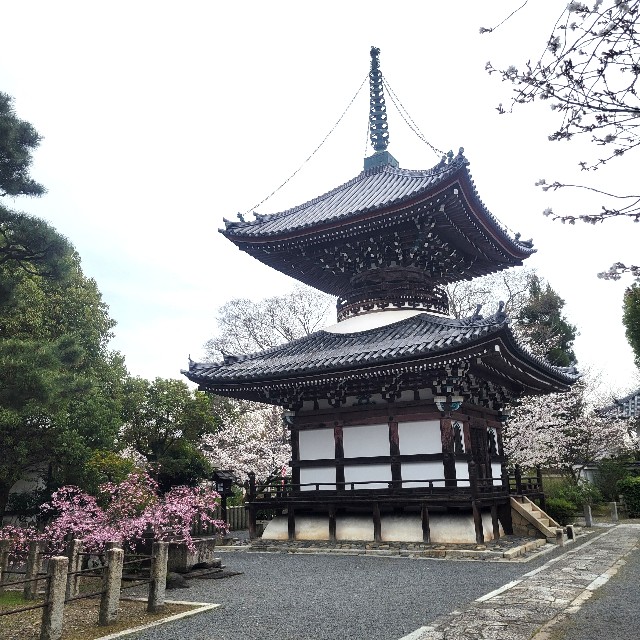 f:id:atoriatoriatori:20250409075129j:image
