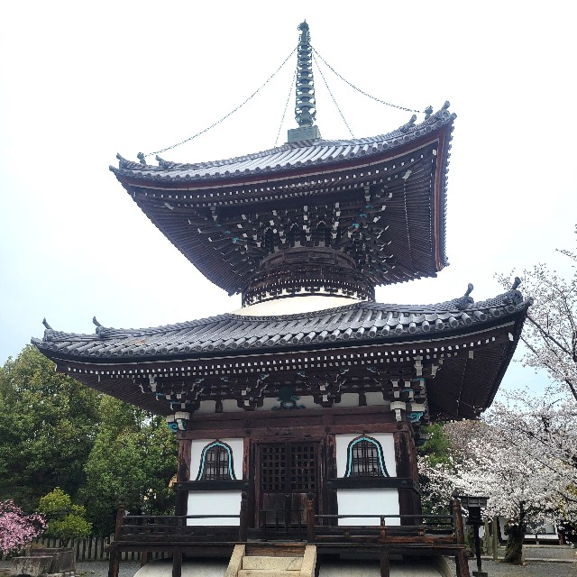 f:id:atoriatoriatori:20250409090448j:image