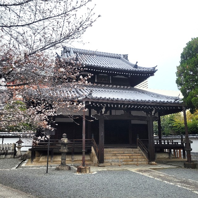 f:id:atoriatoriatori:20250409090506j:image