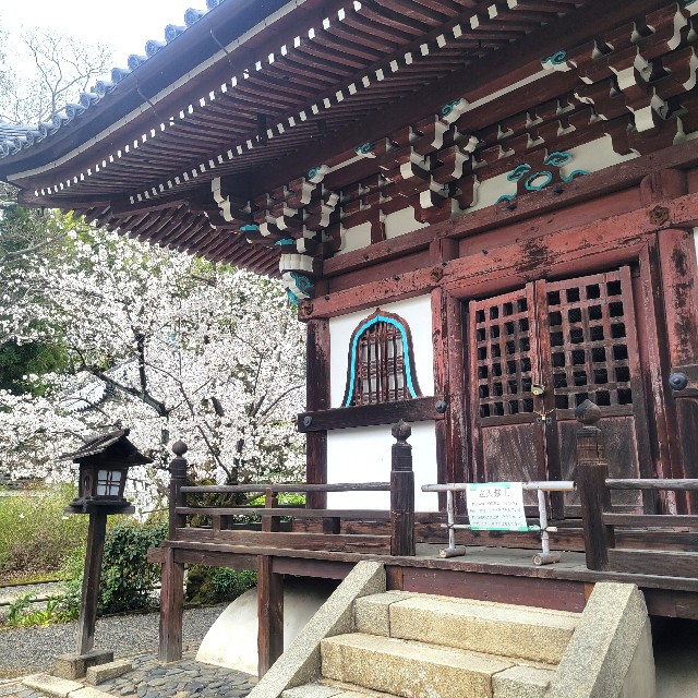 f:id:atoriatoriatori:20250409090800j:image