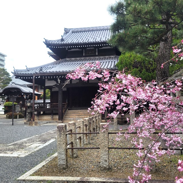 f:id:atoriatoriatori:20250409090813j:image
