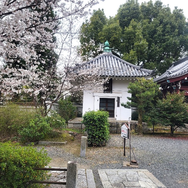 f:id:atoriatoriatori:20250409090834j:image