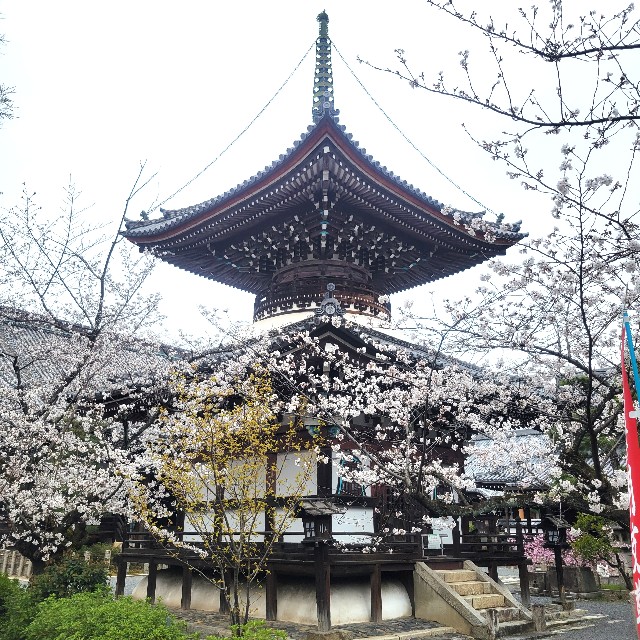 f:id:atoriatoriatori:20250409092905j:image