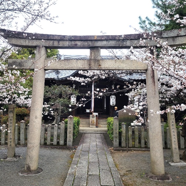 f:id:atoriatoriatori:20250409092929j:image