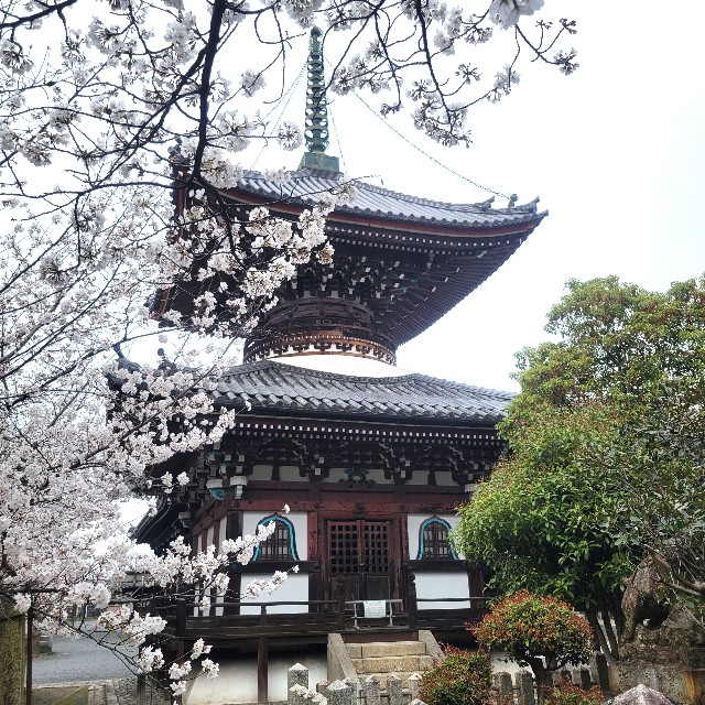 f:id:atoriatoriatori:20250409093338j:image