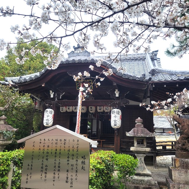 f:id:atoriatoriatori:20250409093357j:image