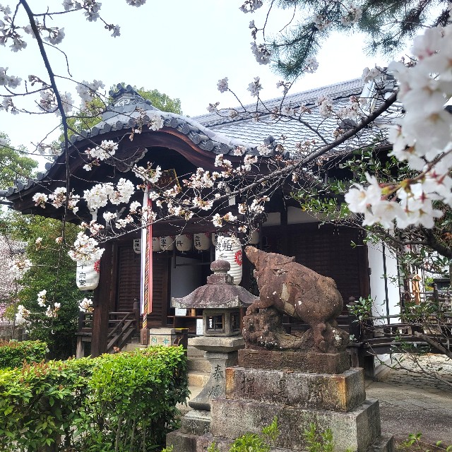 f:id:atoriatoriatori:20250409093407j:image
