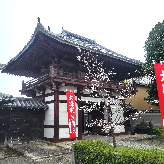 f:id:atoriatoriatori:20250409100022j:image