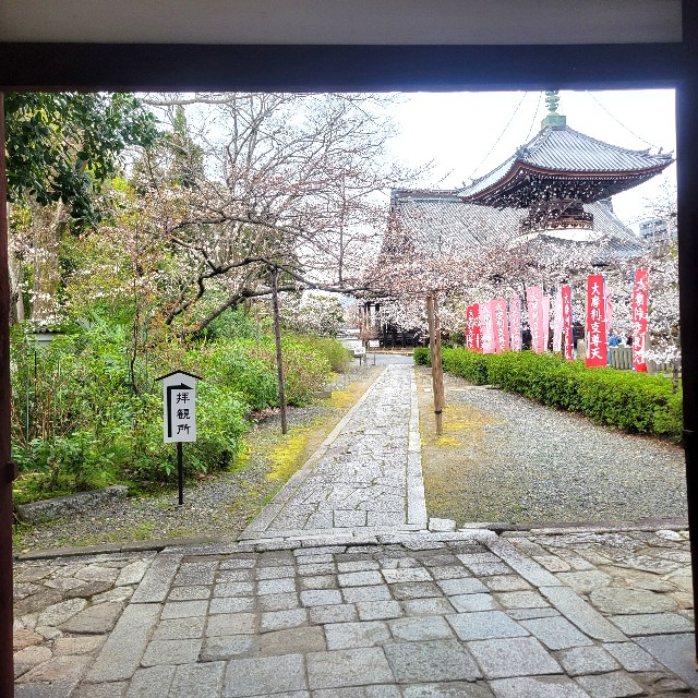 f:id:atoriatoriatori:20250409100051j:image