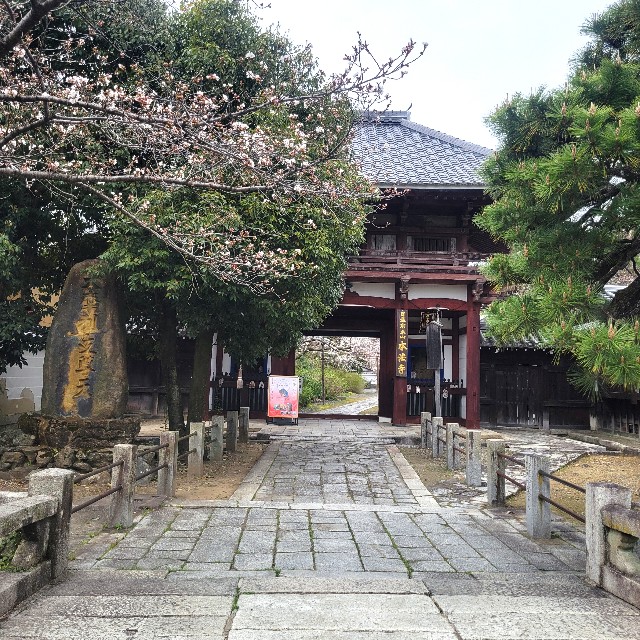 f:id:atoriatoriatori:20250409100100j:image