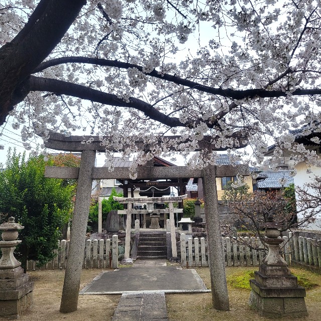f:id:atoriatoriatori:20250410081909j:image