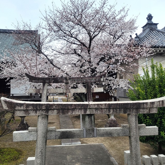 f:id:atoriatoriatori:20250410082131j:image