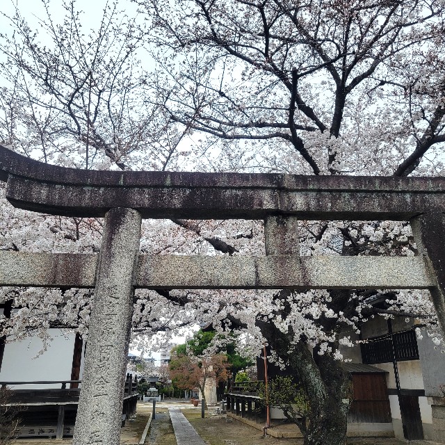 f:id:atoriatoriatori:20250410082140j:image