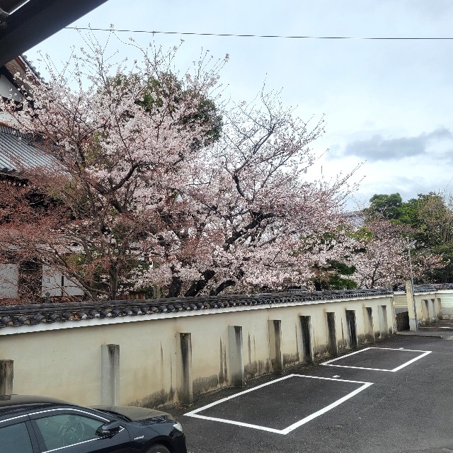 f:id:atoriatoriatori:20250410084146j:image