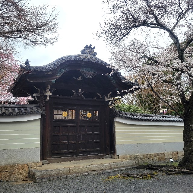 f:id:atoriatoriatori:20250410085057j:image