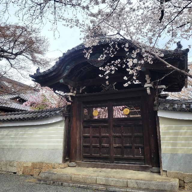 f:id:atoriatoriatori:20250410085106j:image